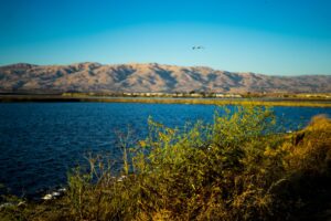 San Jose Kayaking Destination Alviso Marina